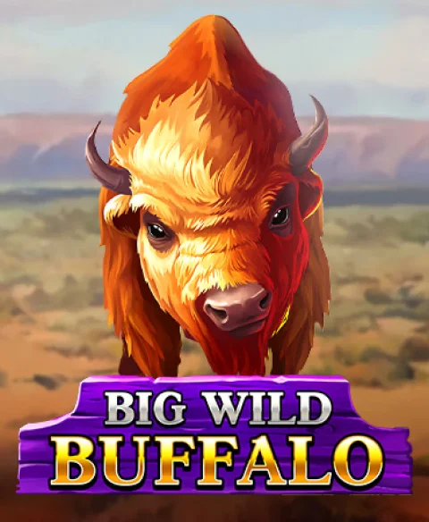 Play Big Wild Buffalo at All Right Casino